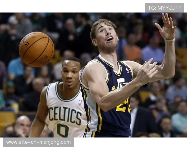 国王鹈鹕摆烂大战分析：十二连败对阵主场优势，战略意图成关键